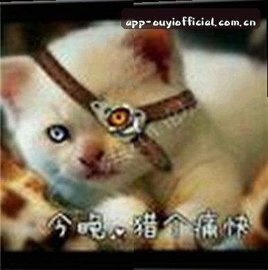 孙鹏